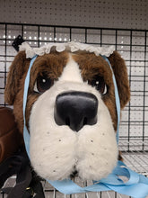 Load image into Gallery viewer, Saint Bernard Dog Mascot