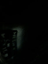 Load image into Gallery viewer, Easter Bunny Mascot by Rubies