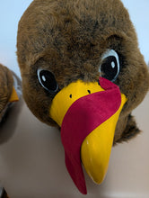 Load image into Gallery viewer, Turkey Mascot