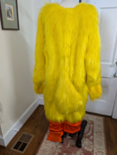 Load image into Gallery viewer, Chicken Mascot