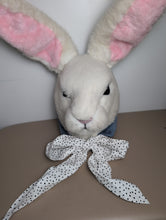 Load image into Gallery viewer, Easter Hare Mascot