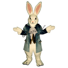 Load image into Gallery viewer, Easter Hare Mascot