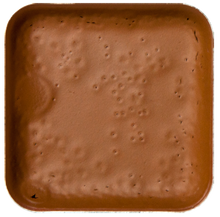 Load image into Gallery viewer, Encore Palette MASTER Refills by European Body Art