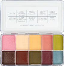 Load image into Gallery viewer, American Horror Story Palette