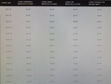 Load image into Gallery viewer, Corset Overbust Dominique Reversible Brocade Size 30 only