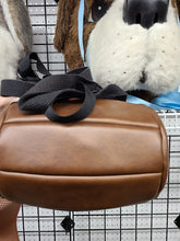 Load image into Gallery viewer, Saint Bernard Dog Mascot
