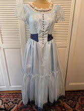 Load image into Gallery viewer, Tim Burton&#39;s Alice in Wonderland by  Elope Costumes
