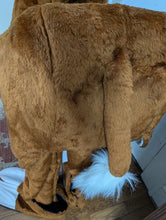 Load image into Gallery viewer, Hereford 2 person Costume By Marylen Costumes
