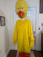 Load image into Gallery viewer, Chicken Mascot
