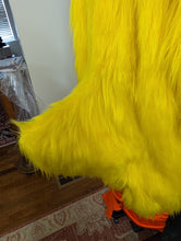 Load image into Gallery viewer, Chicken Mascot
