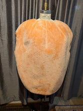 Load image into Gallery viewer, Peach Mascot
