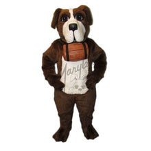 Load image into Gallery viewer, Saint Bernard Dog Mascot
