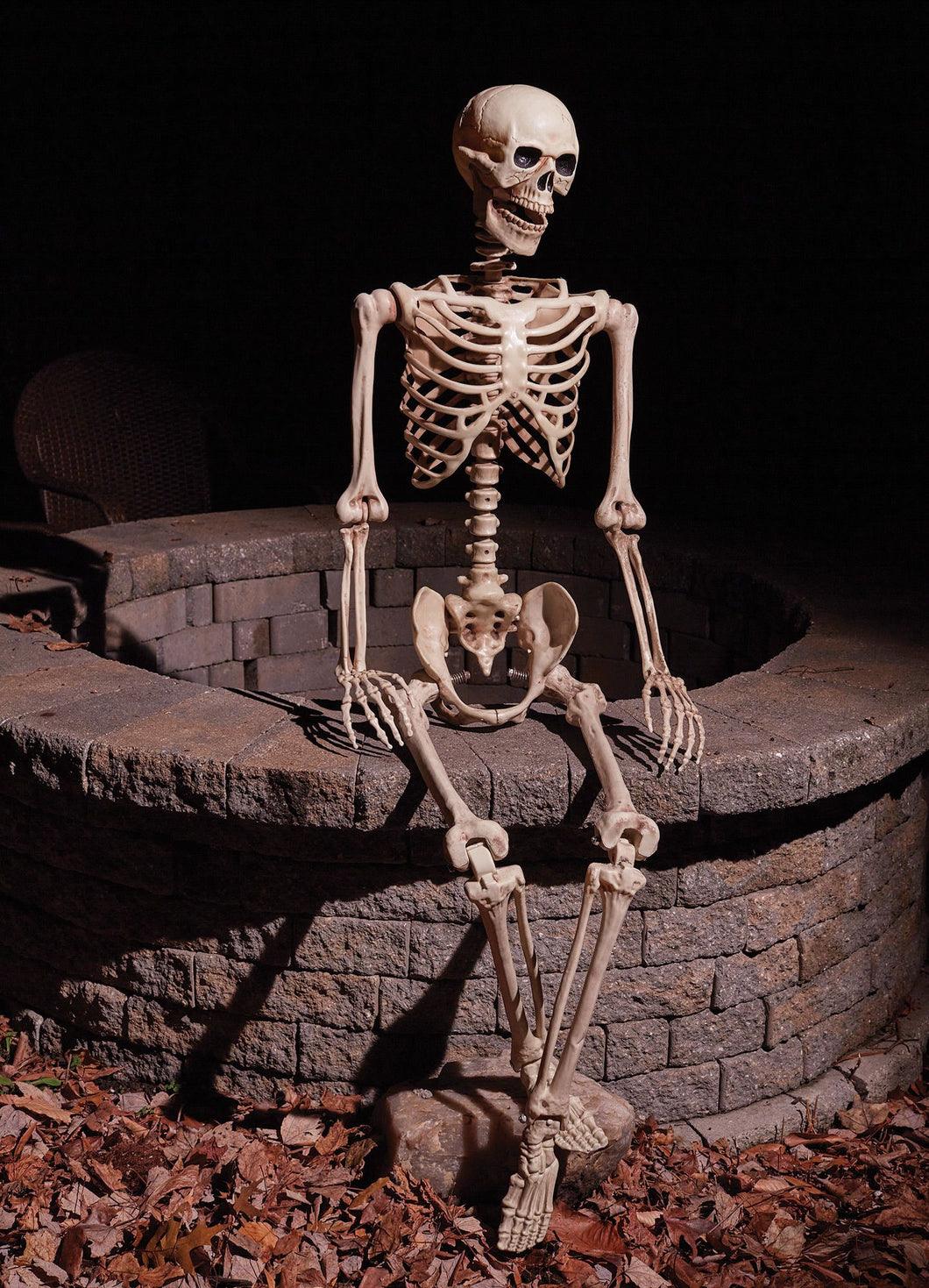 Skeleton 60