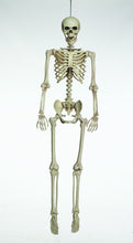 Load image into Gallery viewer, Skeleton 60&quot; Articulated
