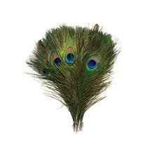 Load image into Gallery viewer, Peacock Feathers 8&quot;-15&quot;
