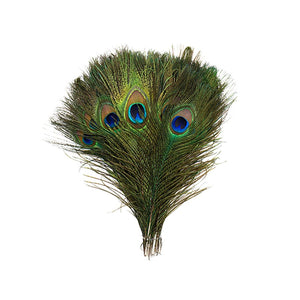 Peacock Feathers 8"-15"