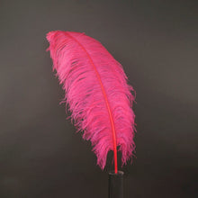 Load image into Gallery viewer, Deluxe Ostrich Feather 18&quot;-22&quot;
