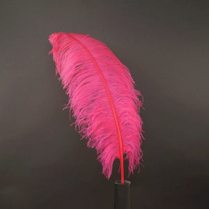 Deluxe Ostrich Feather 18"-22"