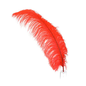 Deluxe Ostrich Feather 18"-22"