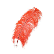 Load image into Gallery viewer, Deluxe Ostrich Feather 15&quot;
