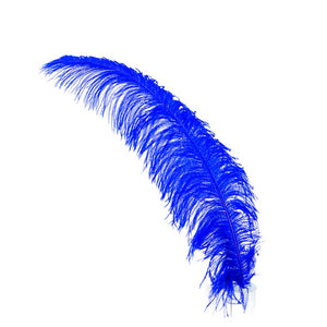 Deluxe Ostrich Feather 18"-22"