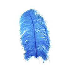 Load image into Gallery viewer, Deluxe Ostrich Feather 15&quot;
