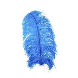 Deluxe Ostrich Feather 15"