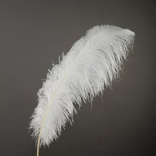 Load image into Gallery viewer, Deluxe Ostrich Feather 18&quot;-22&quot;
