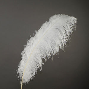 Deluxe Ostrich Feather 18"-22"