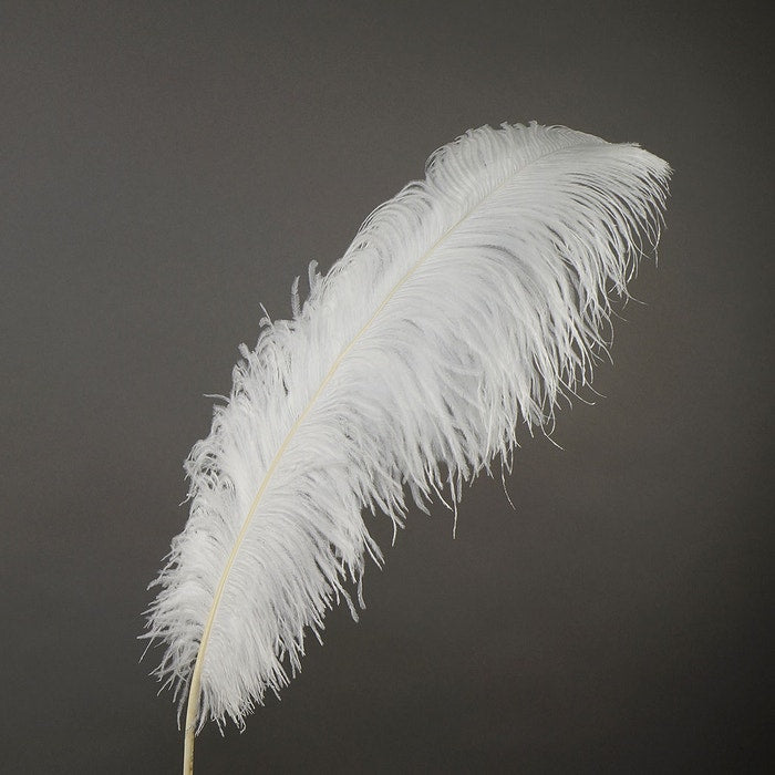 Deluxe Ostrich Feather 18